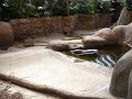 zoo 050